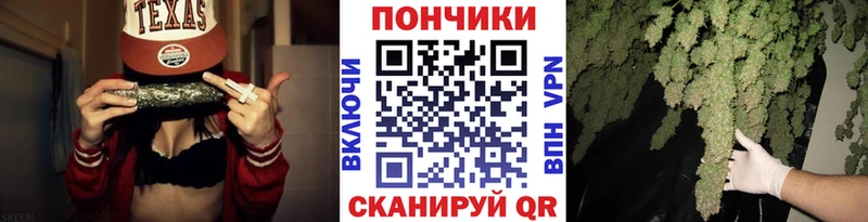 Шишки марихуана марихуана  Купить где  Ачхой-Мартан 